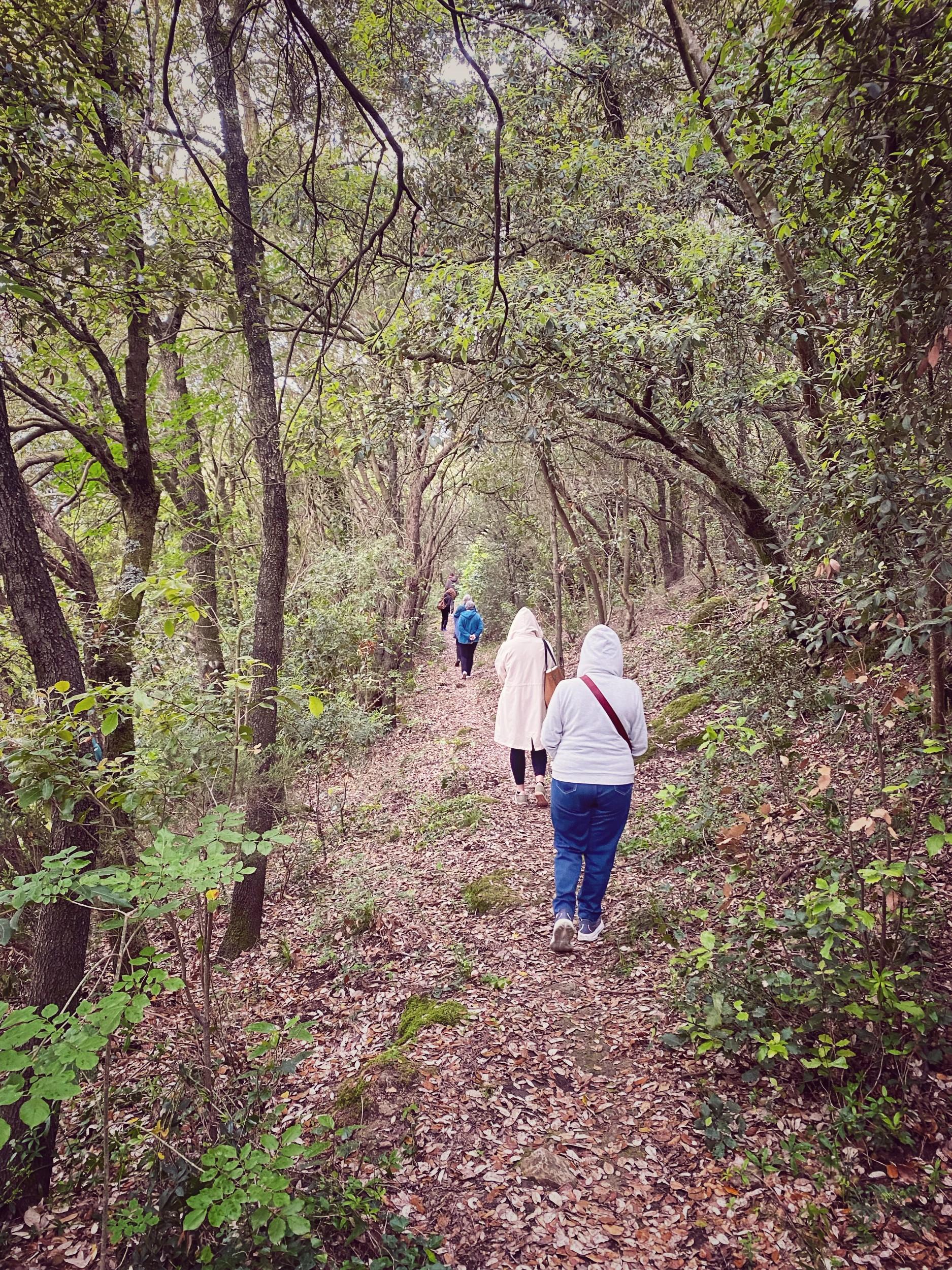 Meditazione camminata